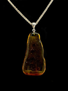 Baltic Amber Pendant with Insect Inclusions Tarazed Gems & Jewellery
