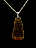 Baltic Amber Pendant with Insect Inclusions Tarazed Gems & Jewellery