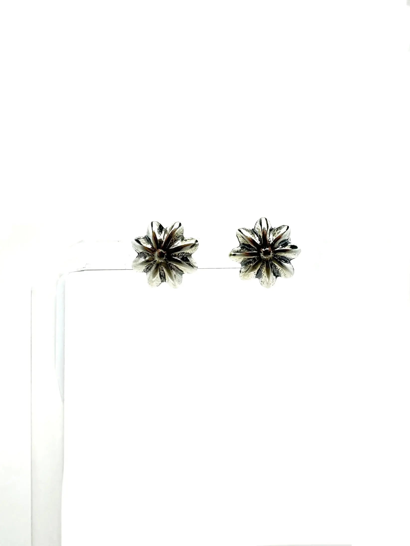 Diné (Navajo) Sterling Silver Stud Earrings Tarazed Gems & Jewellery