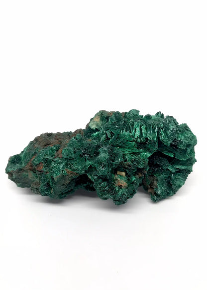 Malachite (DRC) Tarazed Gems & Jewellery