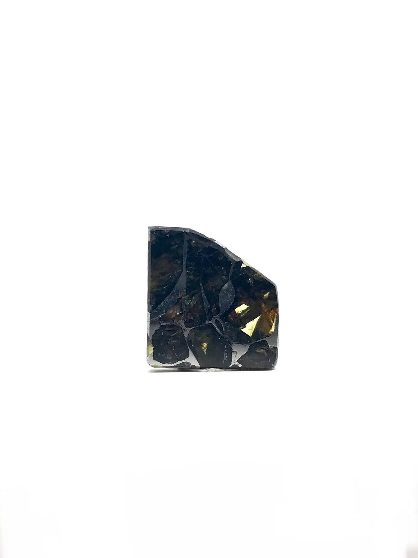 Sericho Pallasite Meteorite Slice (Kenya) Tarazed Gems & Jewellery